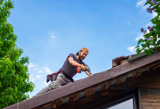 Best Roof Maintenance and Cleaning  in Dallas Center, IA