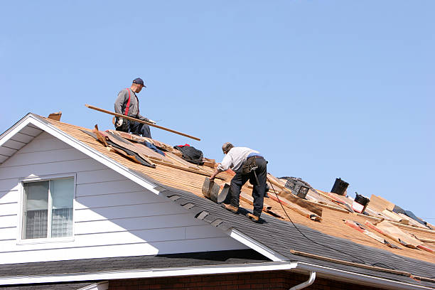 Best Storm Damage Roof Repair  in Dallas Center, IA